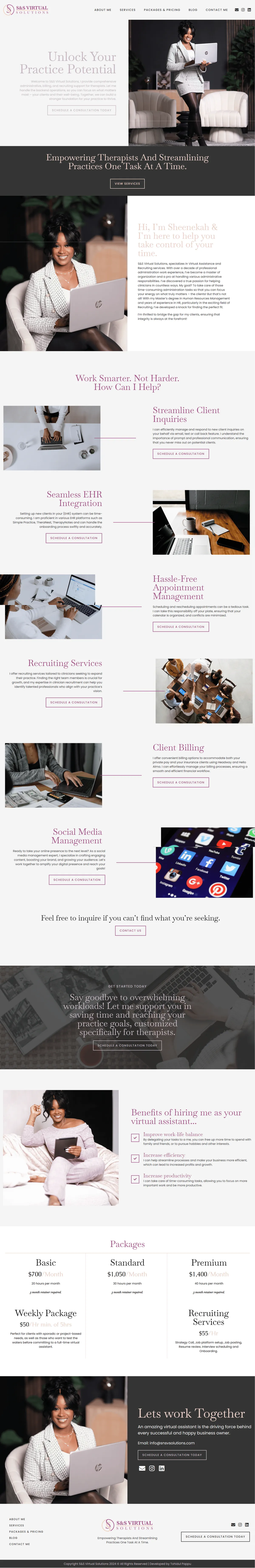SNSV Solutions — Virtual Consulting website by Tohidul Islam Pappu